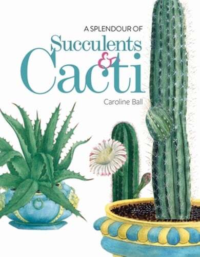 A Splendour of Succulents & Cacti by Caroline Ball: Used