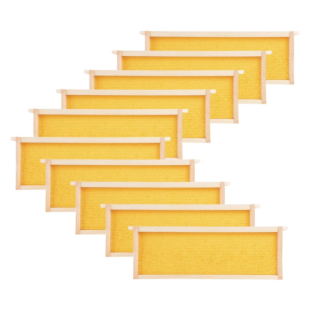 10Pcs Medium Beehive Frames with Wax Foundation for 6-1/4 Bee Boxes