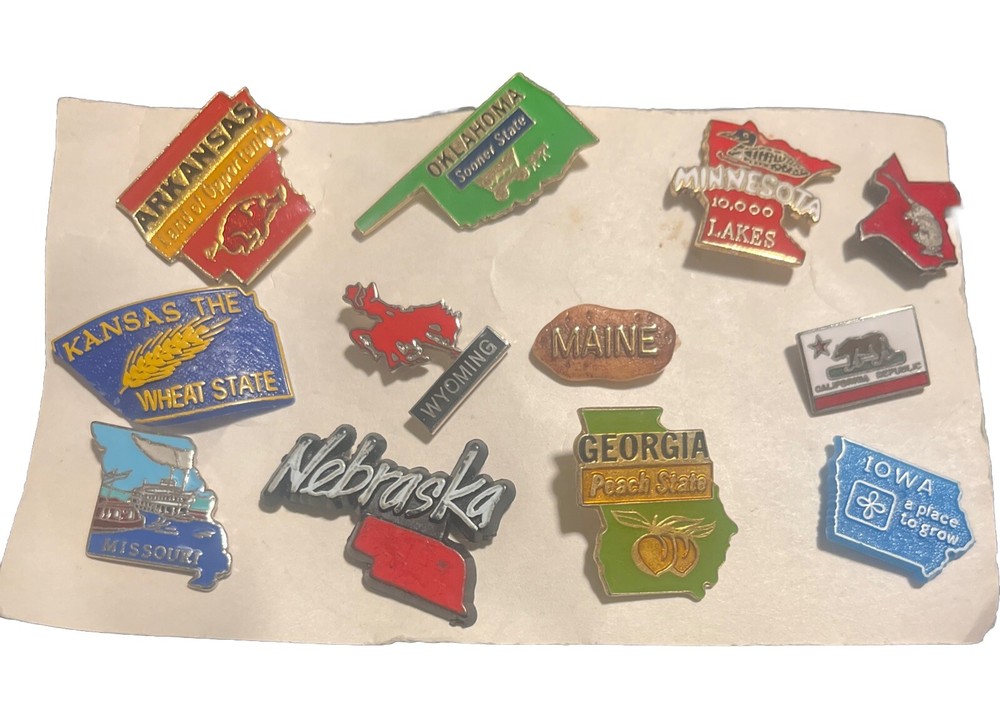 Lot Of 12 Vtg States Souvenir Enamel Pins Lapel  Collector's Travel Destination