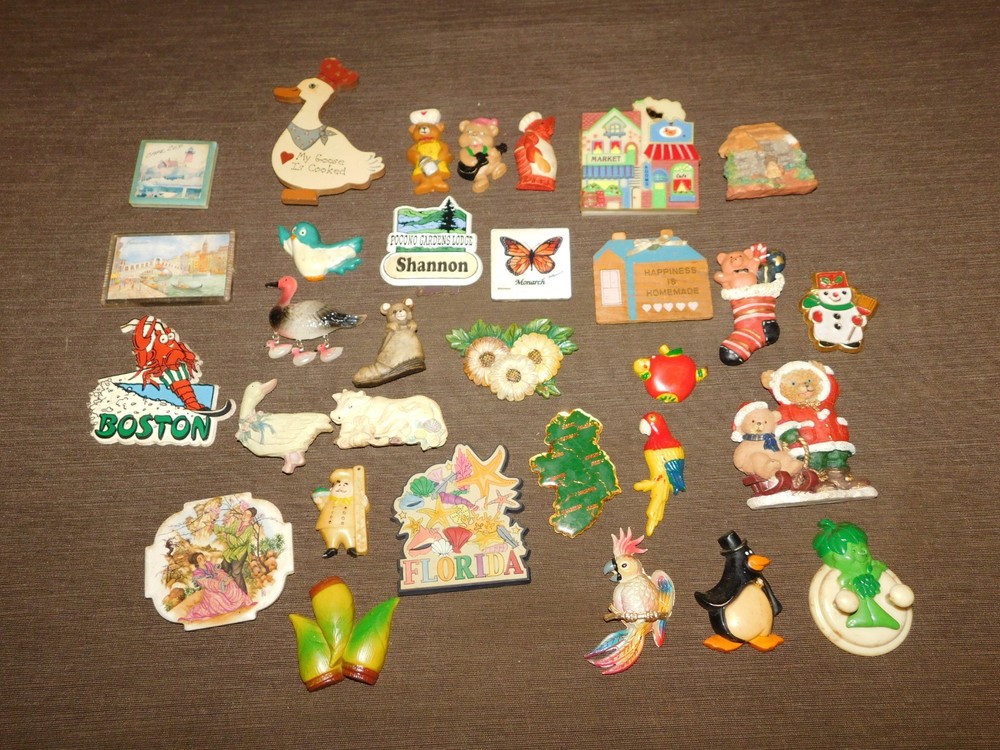 LARGE LOT OF 30 REFRIGERATOR MAGNETS GOOSE FLORIDA BOSTON COW  +++