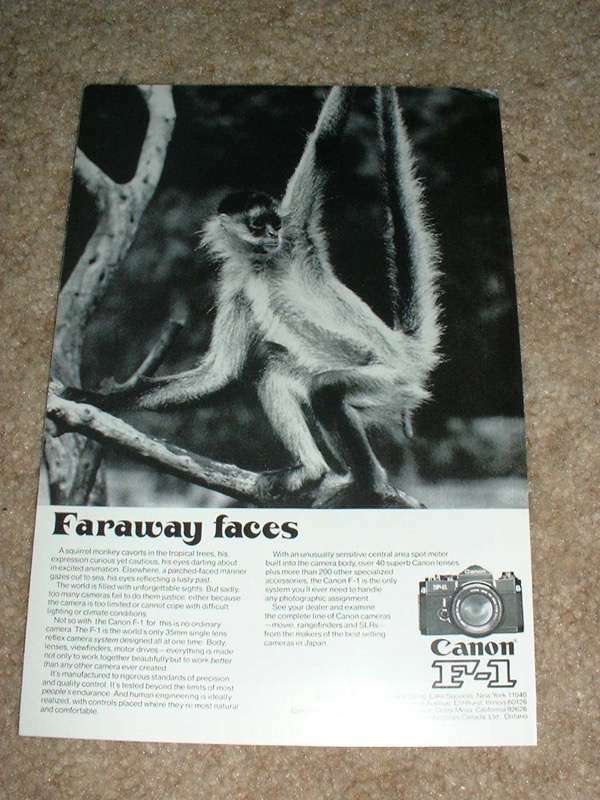 1974 Canon F1 Camera Ad, Monkey - Faraway Faces NICE!!