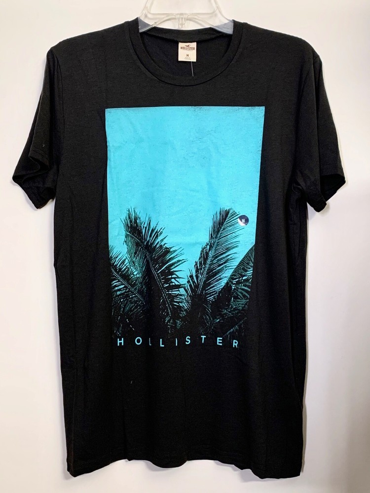 1 Hollister by Abercrombie NAVY PALM LEAF Graphic Mens T-Shirt LARGE L-image