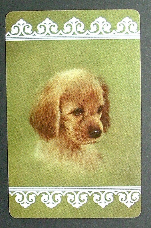 1 x Joker playing card single swap Dog Puppy AD 323