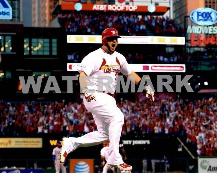 MATT ADAMS St Louis Cardinals 8 x 10 Photo Poster Baseball