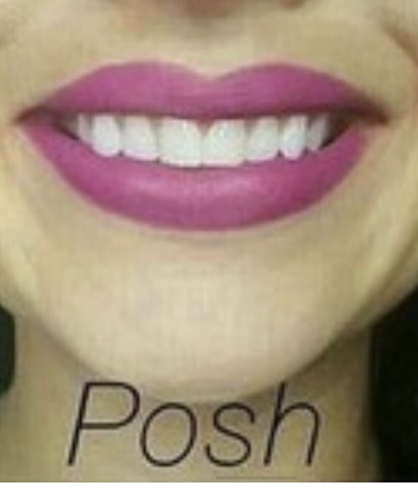 YOUNIQUE MOODSTRUCK PRECISION PENCIL LIP LINER Posh