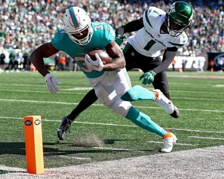 Raheem Mostert Miami Dolphins Nfl Vs Jets 8x10 PHOTO PRINT