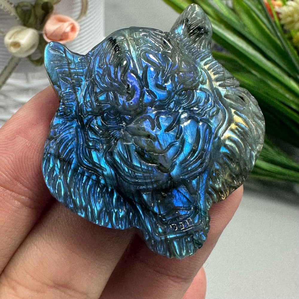Natural Labradorite Carved Tiger Skull Quartz Skull Crystal Specimen Reiki Heal