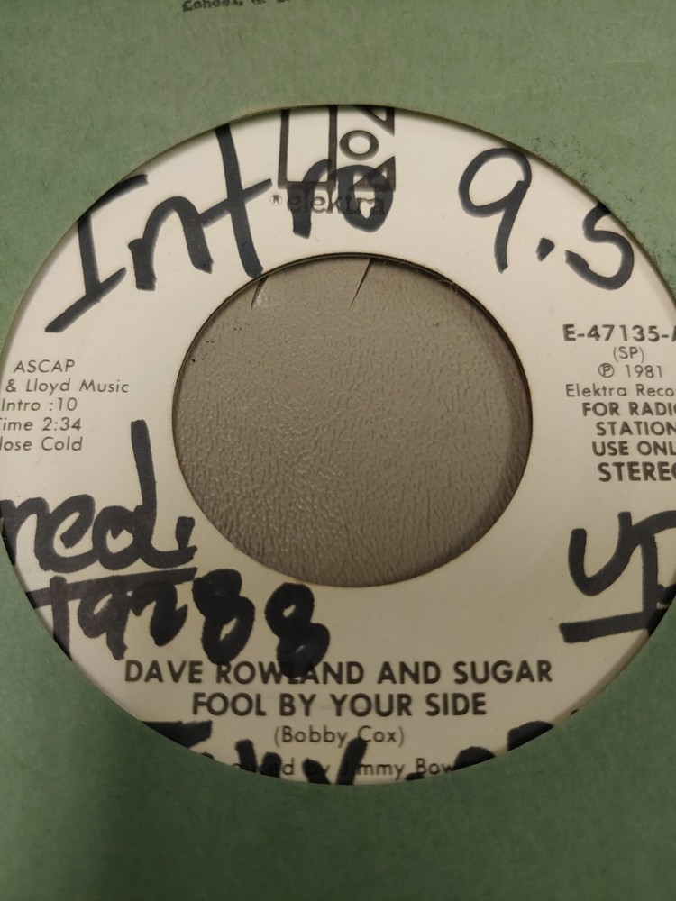 DAVE ROWLAND FOOL BY YOUR SIDE 7