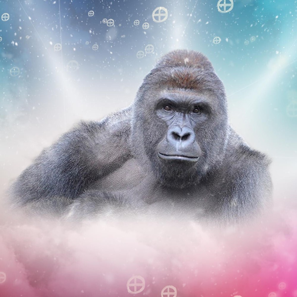 Harambe Gorilla Poster Wall Art Home Decor Photo Prints 16, 20, 24