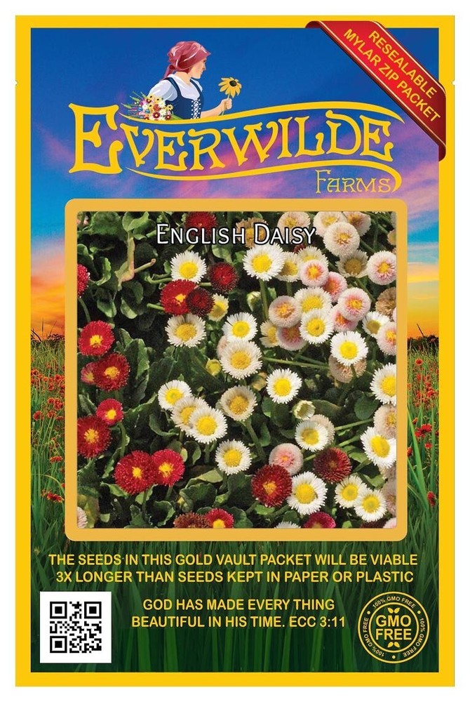 1 Oz English Daisy Mixed Wildflower Seeds - Everwilde Farms Mylar Seed Packet