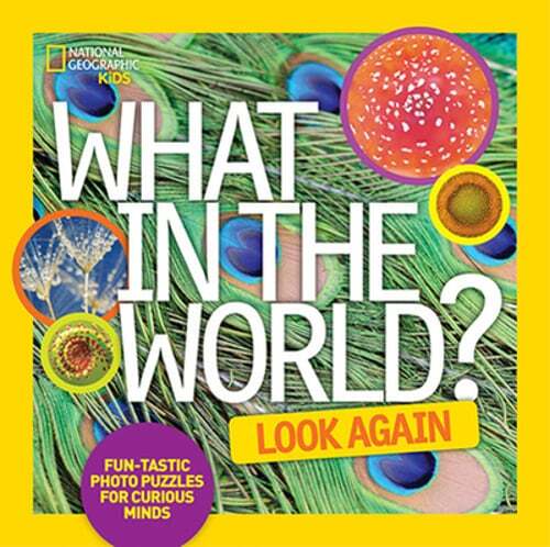 What in the World: Look Again: Fun-Tastic Photo Puzzles for Curious Minds: Used