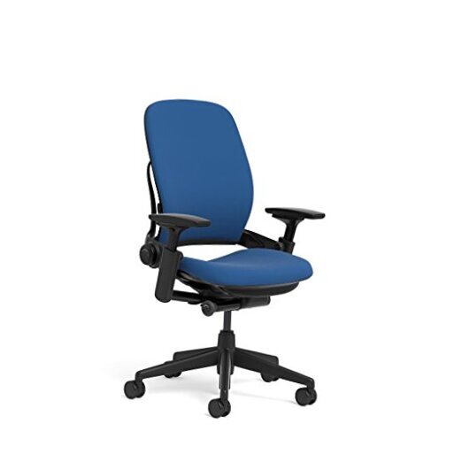Leap Office Chair - Seven Points of Adjustability - Ergonomic Back Blue