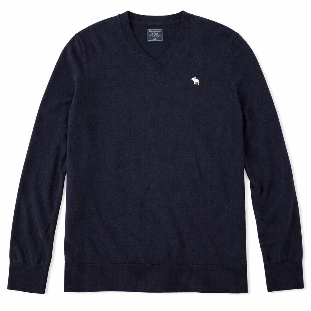 Abercrombie & Fitch Mens XL Navy V Neck Moose Logo Y2K Preppy Classic Wool-image