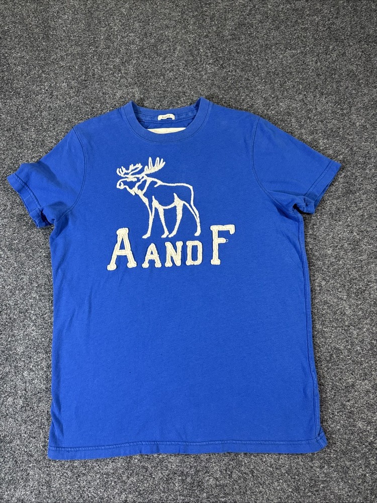 VINTAGE ABERCROMBIE & FITCH MUSCLE T-SHIRT Y2K MENS LARGE Blue MOOSE-image