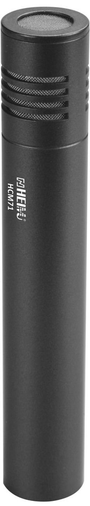 Professional Condenser Microphone (Condenser Mic)