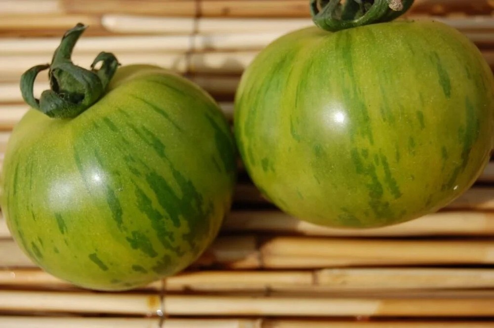 50 Seeds Abracazebra Tomato Heirloom Vegetable Tomatoe Garden Edible-image