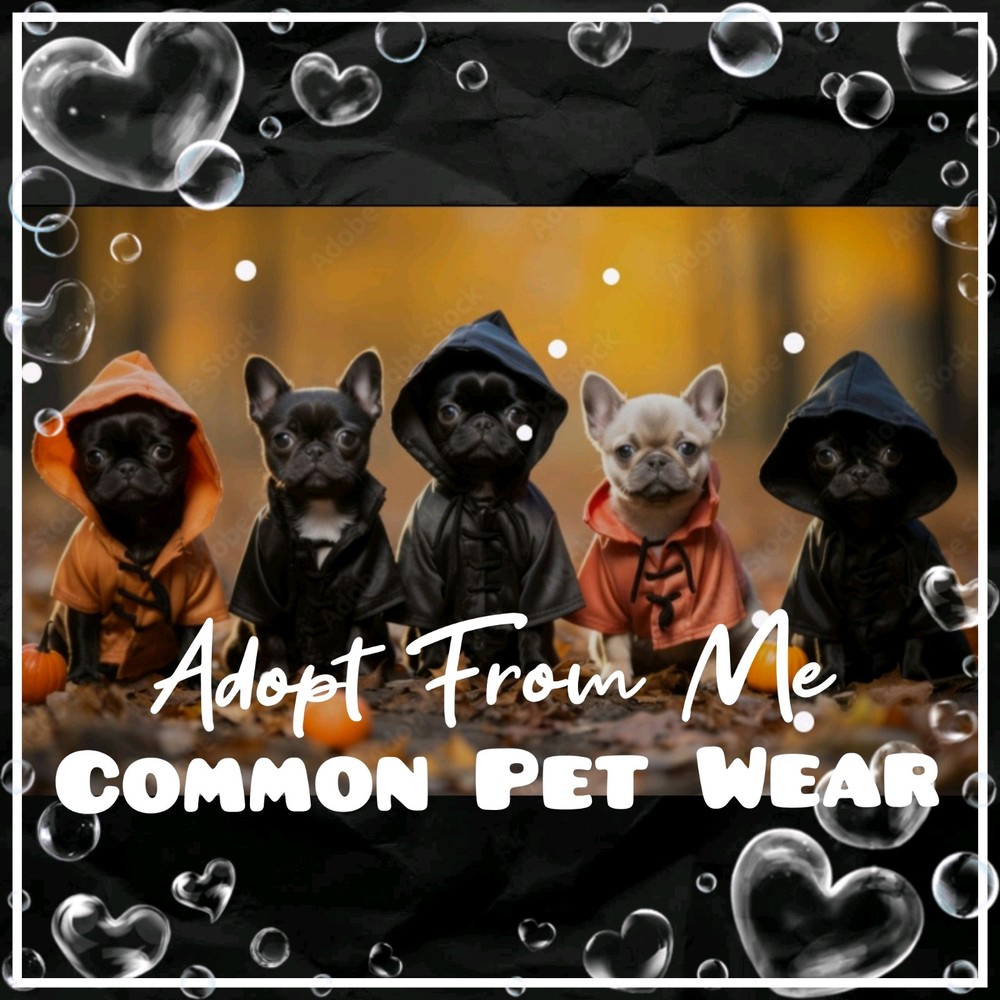 🌺 Adopt Affordable Pets & Stylish Pet Accessories Today with Exclusive Discounts on Common Pet Wear Items